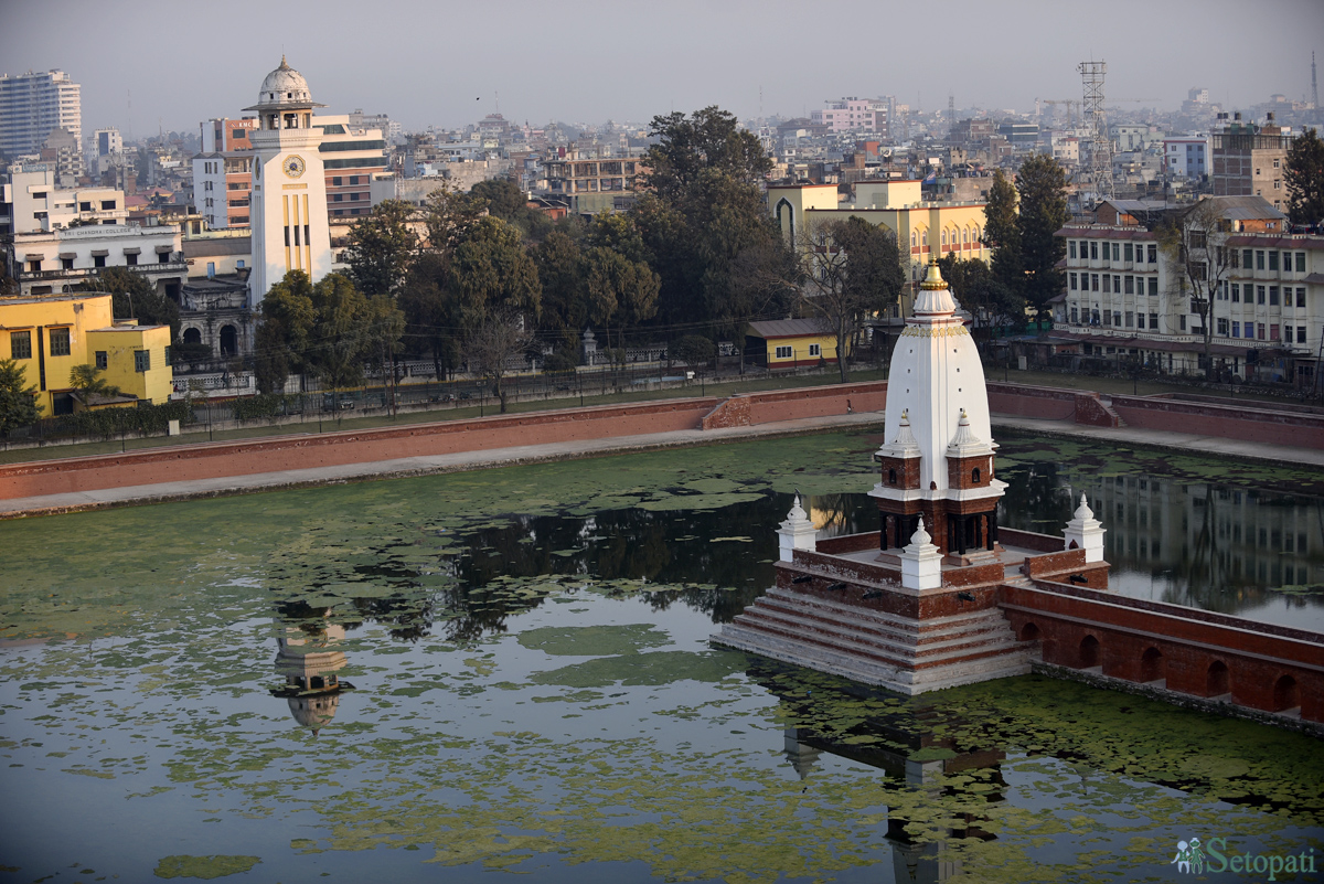 लेउ-झ्याउले भरिएको रानीपोखरी। तस्बिरः नारायण महर्जन/सेतोपाटी